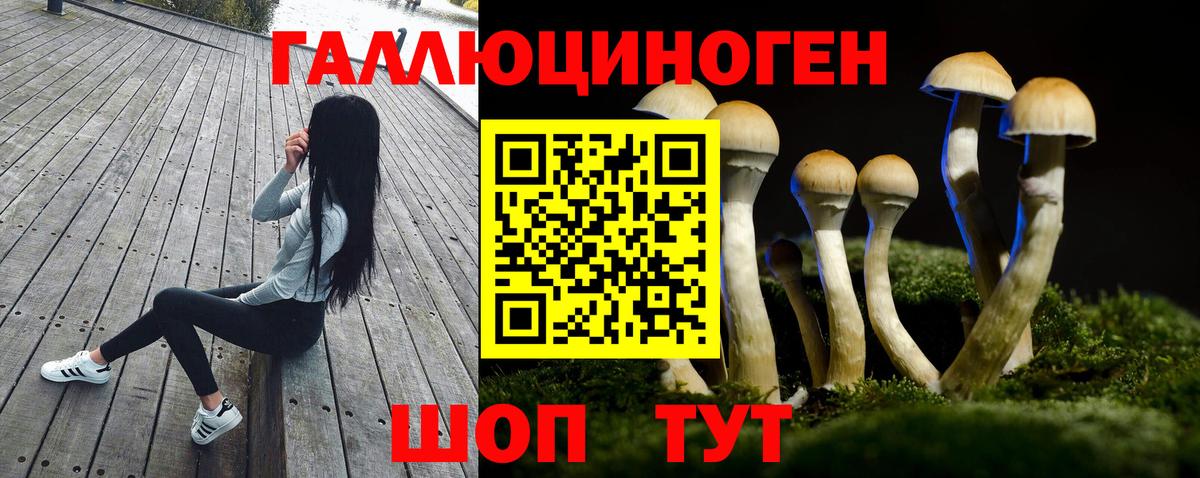 Новоалександровск  Псилоцибиновые грибы мицелий  Псилоцибиновые грибы мухоморы  Вход с VPN 