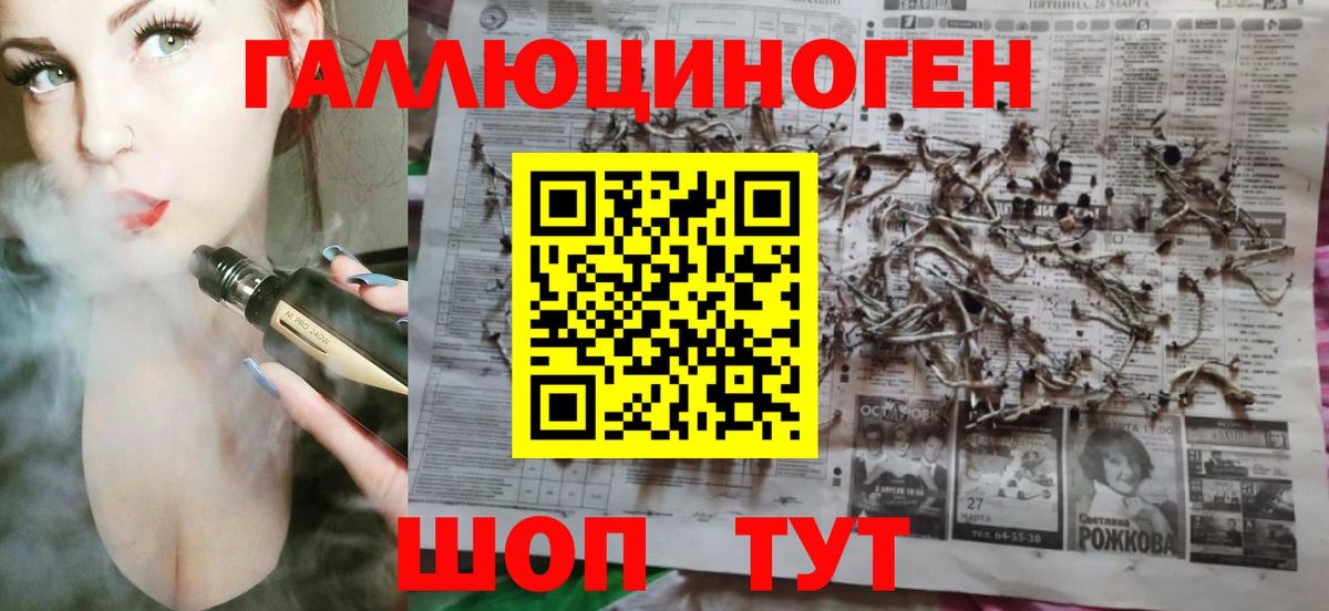 Галлюциногенные грибы Psilocybine cubensis Новоалександровск